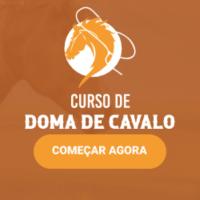 Imagem do curso Curso de Doma de Cavalo