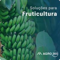 Imagem do curso AGRO365 - Fruticultura