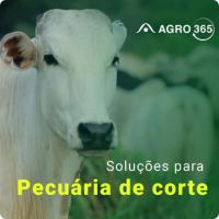 Imagem do curso AGRO365 - Pecuária de Corte