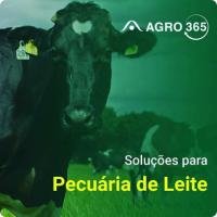 Imagem do curso AGRO365 - Pecuária de Leite