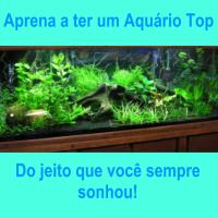 Imagem do curso Aquarista de Sucesso