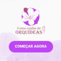 Imagem do curso Como cuidar de Orquídeas