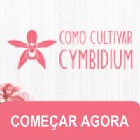 Imagem do curso Como cultivar Cymbidium