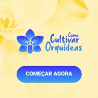 Imagem do curso Como Cultivar Orquídeas