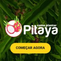 Imagem do curso Como plantar Pitaya