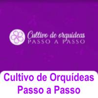 Imagem do curso Cultivo de Orquídeas Passo a Passo