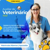 Imagem do curso Curso Auxiliar de Veterinário