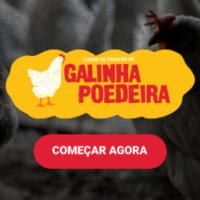 Imagem do curso Curso Criação de Galinha Poedeira