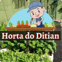 Imagem do curso Curso da Horta Orgânica do Ditian