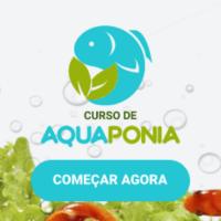 Imagem do curso Curso de Aquaponia - Plante Alimentos Orgânicos em Casa