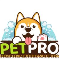 Curso de Banho e Tosa Pet Pro Imagem do curso Curso de Banho e Tosa Pet Pro