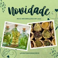 Imagem do curso Curso de Plantas Medicinais e Fitoterapia