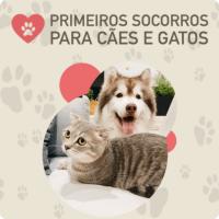 Imagem do curso Curso de Primeiros Socorros para Cães e Gatos