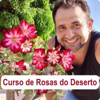 Imagem do curso Curso de Rosas do Deserto