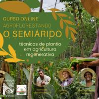 Imagem do curso Curso Online Agroflorestando o Semiárido