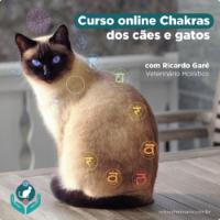 Imagem do curso Curso Online Chakras dos Cães e Gatos