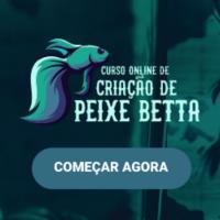 Imagem do curso Curso Online de criação de Peixe Betta