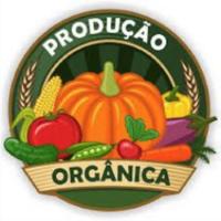 Imagem do curso Curso Online de Produção Orgânica de Alimentos