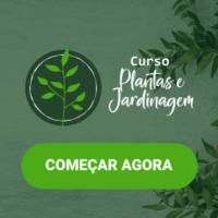 Imagem do curso Curso Plantas e Jardinagem