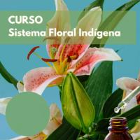 Imagem do curso Curso Sistema Floral Indígena