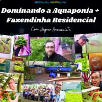 Imagem do curso Dominando a Aquaponia e Fazendinha Residencial