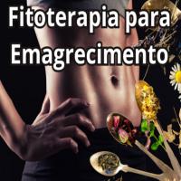 Imagem do curso Fitoterapia Aplicada ao Emagrecimento