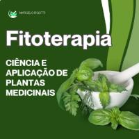 Imagem do curso Fitoterapia: Ciência e Aplicação de Plantas Medicinais