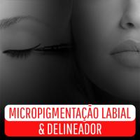 Imagem do curso Micropigmentação Labial e Delineador