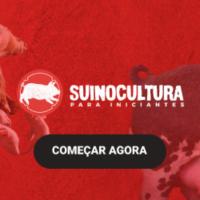 Imagem do curso Suinocultura para Iniciantes