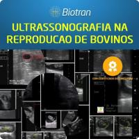 Imagem do curso Ultrassonografia na Reprodução de Bovinos