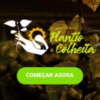 Imagem do curso Viticultura do Plantio a Colheita